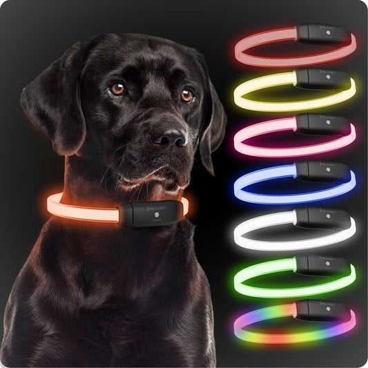 PAJ GPS – PAJ Light – Glowing LED Collar for Dogs